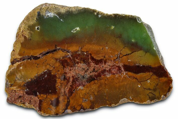 Polished Green Chrysoprase Slab - Western Australia #364239